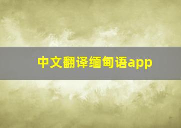 中文翻译缅甸语app