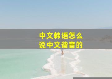 中文韩语怎么说中文谐音的