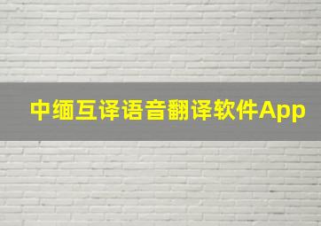 中缅互译语音翻译软件App