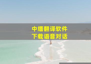 中缅翻译软件下载语音对话