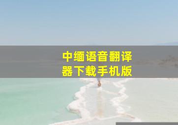 中缅语音翻译器下载手机版