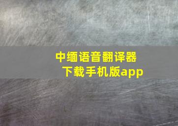 中缅语音翻译器下载手机版app