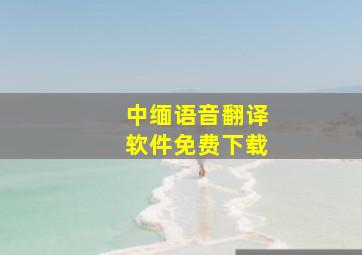 中缅语音翻译软件免费下载