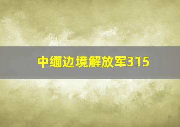 中缅边境解放军315