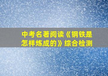 中考名著阅读《钢铁是怎样炼成的》综合检测