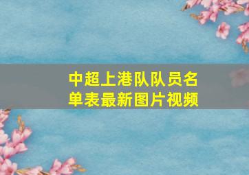 中超上港队队员名单表最新图片视频