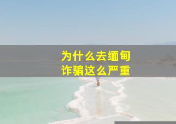 为什么去缅甸诈骗这么严重