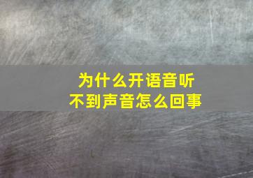 为什么开语音听不到声音怎么回事