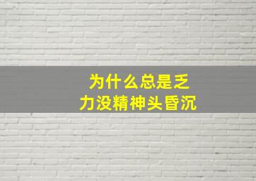 为什么总是乏力没精神头昏沉