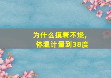 为什么摸着不烧,体温计量到38度