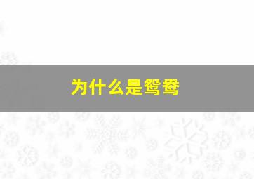 为什么是鸳鸯