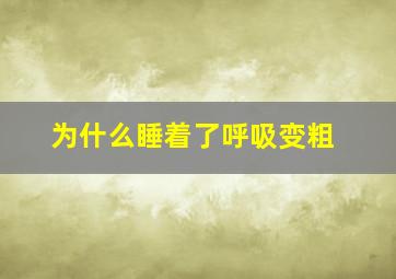 为什么睡着了呼吸变粗