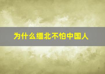 为什么缅北不怕中国人