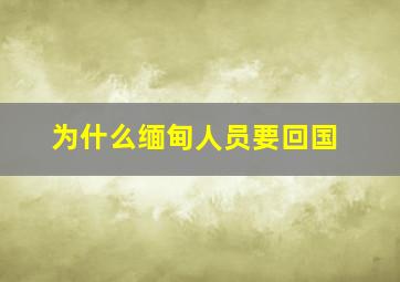 为什么缅甸人员要回国