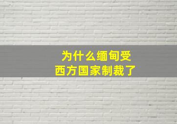 为什么缅甸受西方国家制裁了