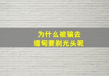 为什么被骗去缅甸要剃光头呢