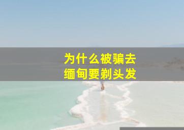 为什么被骗去缅甸要剃头发