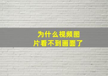 为什么视频图片看不到画面了