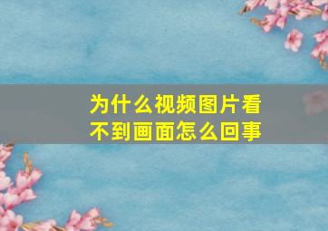 为什么视频图片看不到画面怎么回事