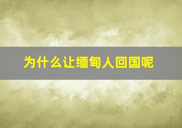 为什么让缅甸人回国呢