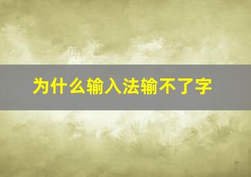 为什么输入法输不了字