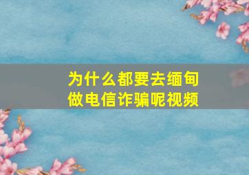 为什么都要去缅甸做电信诈骗呢视频