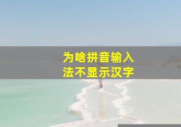 为啥拼音输入法不显示汉字