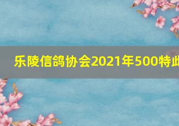 乐陵信鸽协会2021年500特此