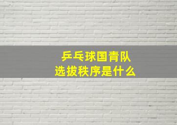 乒乓球国青队选拔秩序是什么