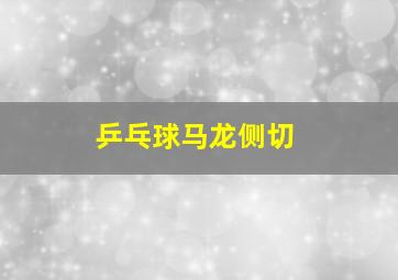 乒乓球马龙侧切