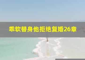 乖软替身他拒绝复婚26章