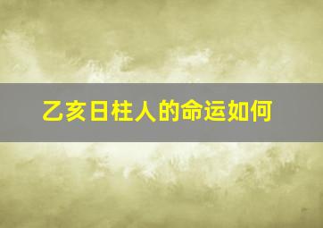 乙亥日柱人的命运如何