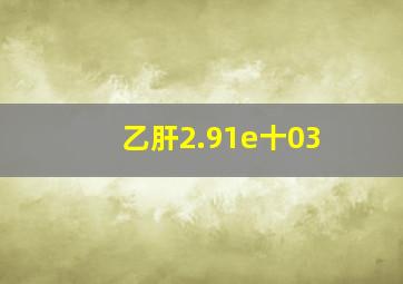 乙肝2.91e十03