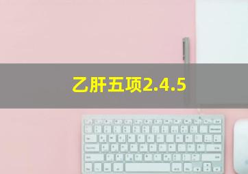 乙肝五项2.4.5