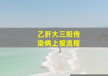 乙肝大三阳传染病上报流程