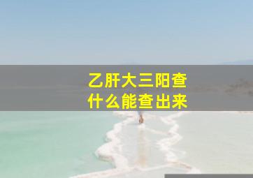 乙肝大三阳查什么能查出来