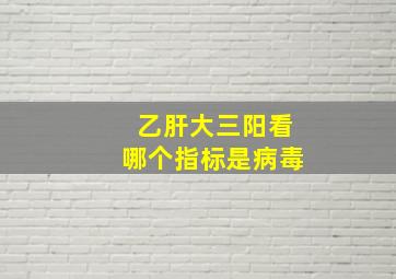 乙肝大三阳看哪个指标是病毒