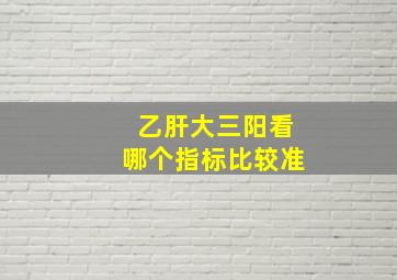 乙肝大三阳看哪个指标比较准