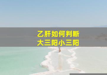 乙肝如何判断大三阳小三阳