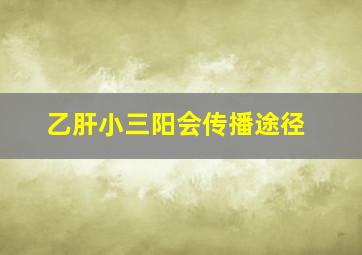 乙肝小三阳会传播途径