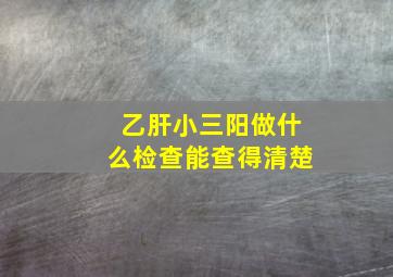 乙肝小三阳做什么检查能查得清楚