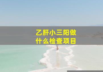 乙肝小三阳做什么检查项目