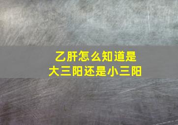 乙肝怎么知道是大三阳还是小三阳