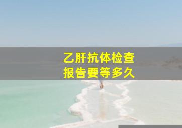 乙肝抗体检查报告要等多久