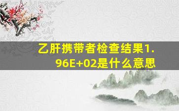 乙肝携带者检查结果1.96E+02是什么意思