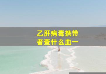 乙肝病毒携带者查什么血一