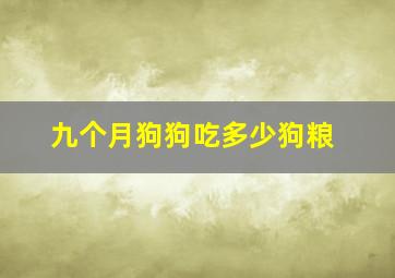 九个月狗狗吃多少狗粮