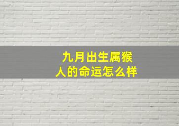 九月出生属猴人的命运怎么样