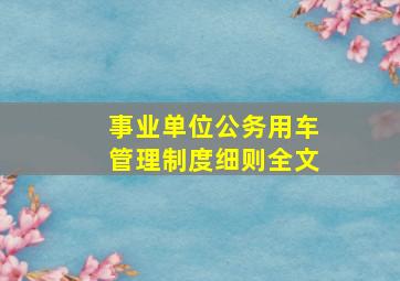 事业单位公务用车管理制度细则全文