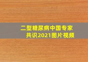 二型糖尿病中国专家共识2021图片视频